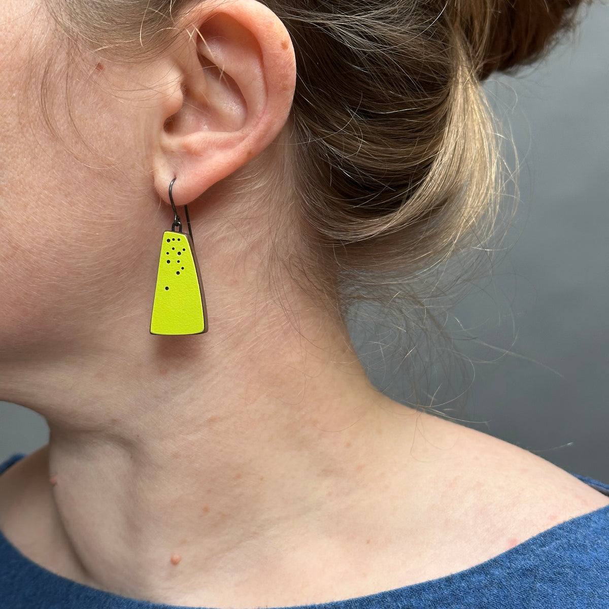 Flight earrings - colourful